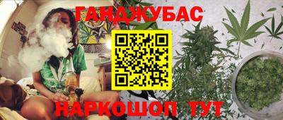 гашик Владивосток