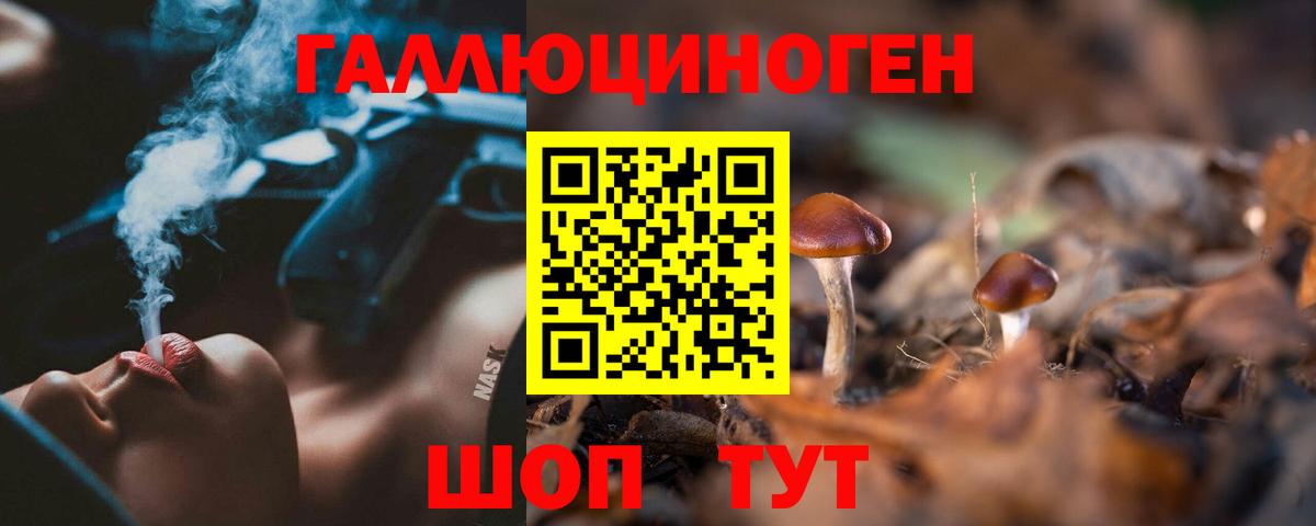 Псилоцибиновые грибы Psilocybe  Вход с VPN  Камышлов 